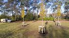 Stad gaat 119 bomen planten