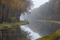 Mooie bomen in Lommel