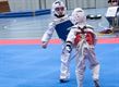 Clubkampioenschap Taekwondo Dongji Beringen