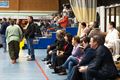 Clubkampioenschap Taekwondo Dongji Beringen