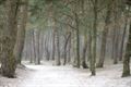 De eerste winterprik in foto's