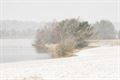 De eerste winterprik in foto's