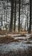 Winter in Lommel