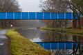 Blue monday? Geniet van al het blauwe!