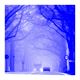 Blue monday? Geniet van al het blauwe!