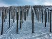Winterse taferelen (3)