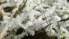 Het wintert in Lommel