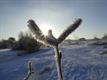 Het wintert in Lommel
