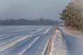 De Vriesput, een klein maar mooi natuurgebiedje