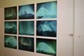 Expo 'Mijn Natuur' bij ART Lutgart