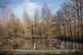De Wateringen in de winter