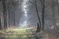 De Wateringen in de winter