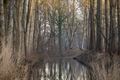 De Wateringen in de winter