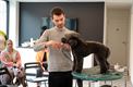 Workshops honden trimmen