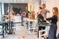Workshops honden trimmen