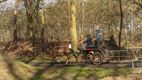De Sahara, van vervuiling en veel zand naar natuur