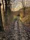 1410 wandelaars voor jarige wandelclub Paul Gerard