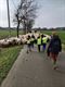 En geen wolf in de buurt