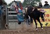 Man naar ziekenhuis na rodeostunt