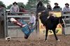 Man naar ziekenhuis na rodeostunt