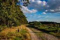 Paastocht voor het hele gezin in Kattenbos