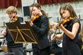 Allemaal beestjes in de Harmoniezaal