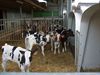 Een dagje uit met de AGRA-dames