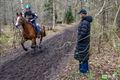 Vastberaden door het bos van Holven