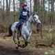 Vastberaden door het bos van Holven