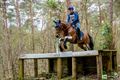 Vastberaden door het bos van Holven