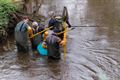 Leven in de Dommel