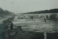 Beleef het witteren als wandeling