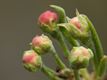 De lente is in het land!