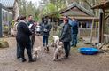 Honden mogen paaseitjes zoeken