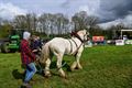 Peter Peeters wint met Gust paardentrekwedstrijd