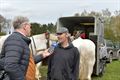 Peter Peeters wint met Gust paardentrekwedstrijd