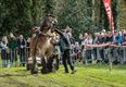 Peter Peeters wint met Gust paardentrekwedstrijd