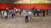 Ponyrijden in de Heuvelhoeve