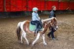 Ponyrijden in de Heuvelhoeve