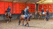 Ponyrijden in de Heuvelhoeve
