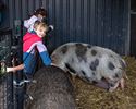 Ponyrijden in de Heuvelhoeve