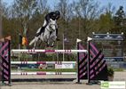 Ier Gary Dooley wint Grand Prix CSIOP