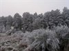 Winter in Pelt