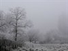 Winter in Pelt