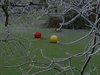 Winter in Pelt