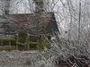 Winter in Pelt