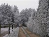 Winter in Pelt