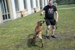 Opendeurdag dierenasiel