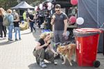 Opendeurdag dierenasiel