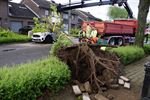 Drie auto's beschadigd door omvallende boom